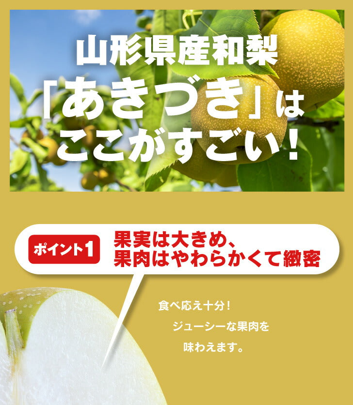 贈答用 秀品 山形県産和梨あきづき 約3kg(8〜14玉) 送料無料※一部地域は別途送料追加 wn07