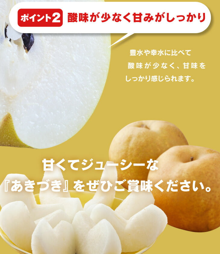 贈答用 秀品 山形県産和梨あきづき 約3kg(8〜14玉) 送料無料※一部地域は別途送料追加 wn07
