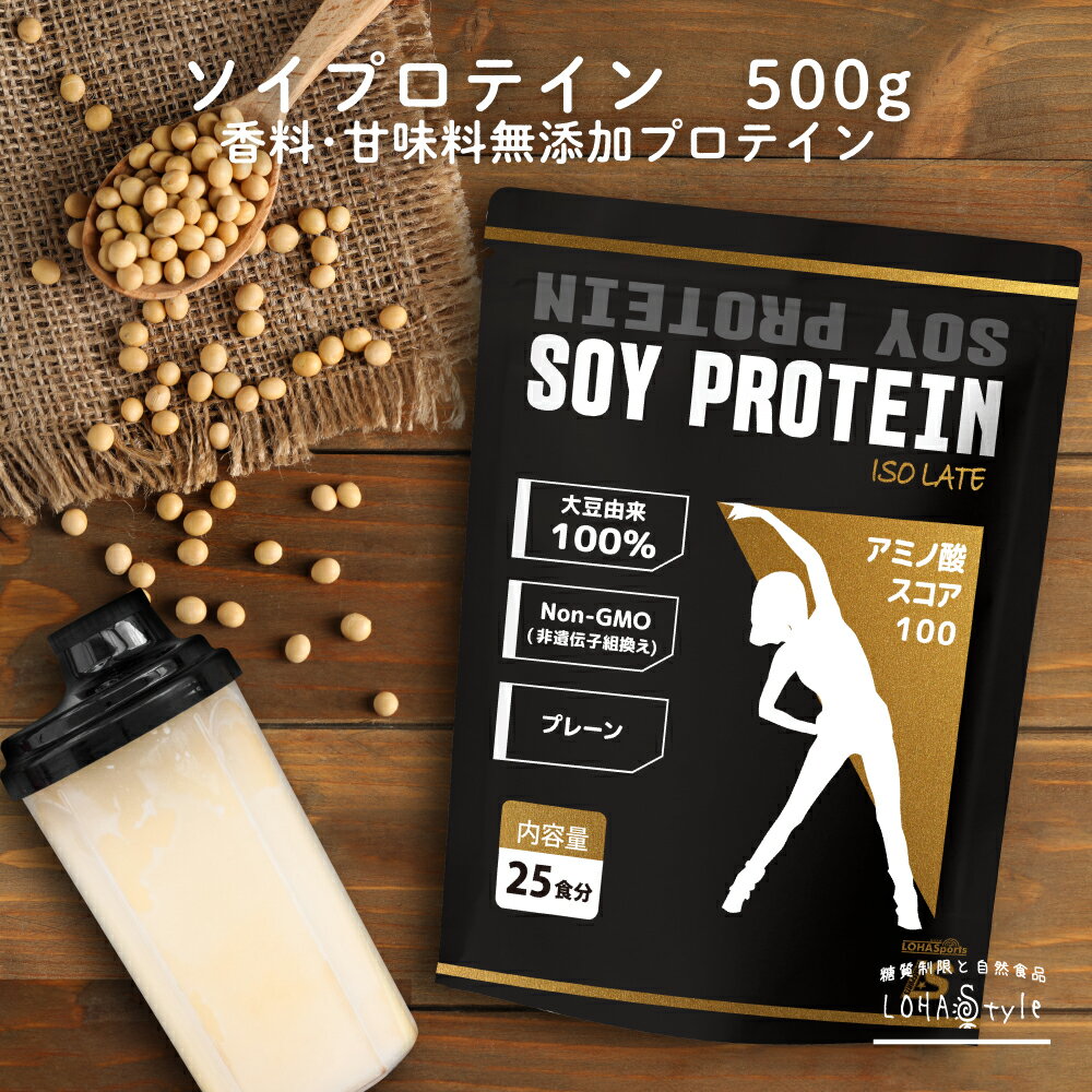大豆 ソイ プロテイン プレーン 無添加 500g