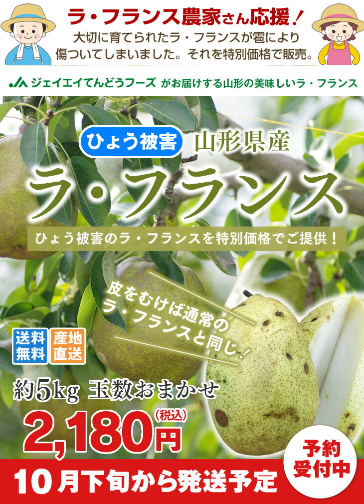 予約商品 訳あり ひょう被害 山形県産洋梨ラフランス 約5kg 果物 送料無料 ※一部地域は別途送料追加 rf25