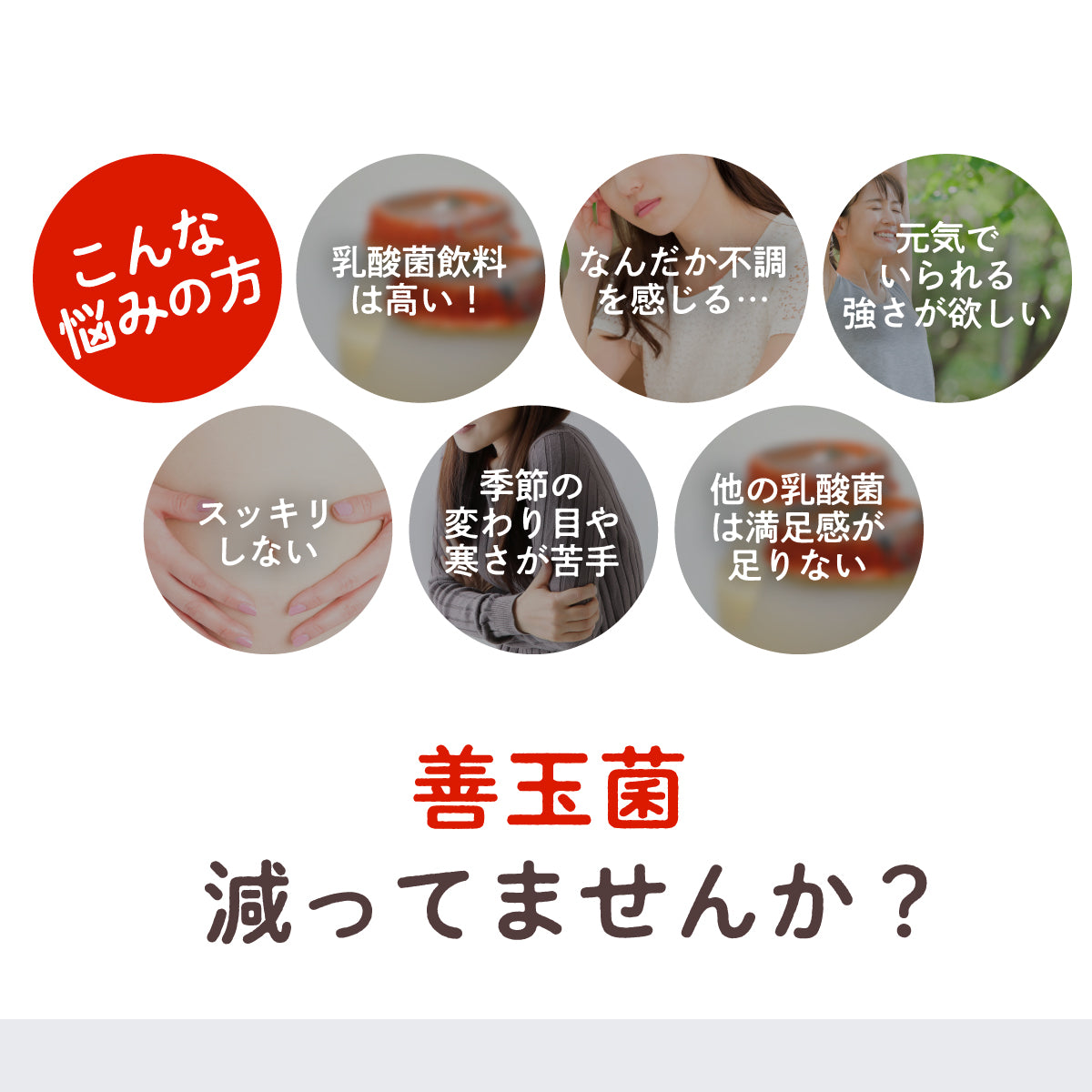 乳酸菌 ビフィズス菌 サプリ ちょーまもる60粒