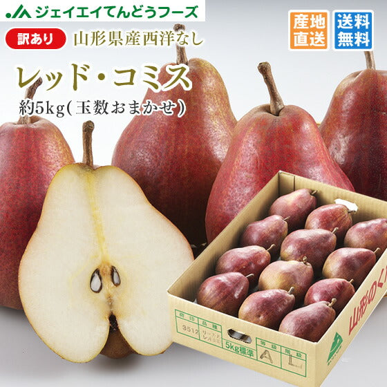 訳あり 西洋梨 山形県産レッド・コミス約5kg(玉数おまかせ) 送料無料※一部地域は別途送料追加