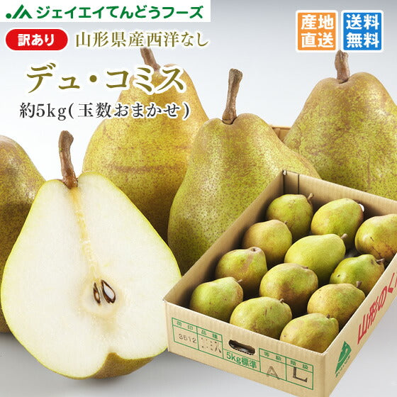 訳あり 西洋梨 山形県産デュ・コミス約5kg(玉数おまかせ) 送料無料※一部地域は別途送料追加