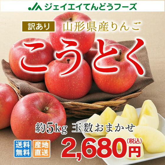 りんご 訳あり 送料無料 こうとく 約5kg(玉数おまかせ) ※一部地域は別途送料追加 ap39