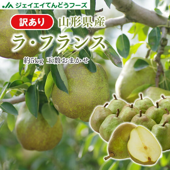 【2/28までに発送予定】【ご新規さんとシェア買い】訳あり 果物 ラフランス 山形県産 約5kg(玉数おまかせ) 送料無料 一部地域は別途送料追加 フルーツ rf21