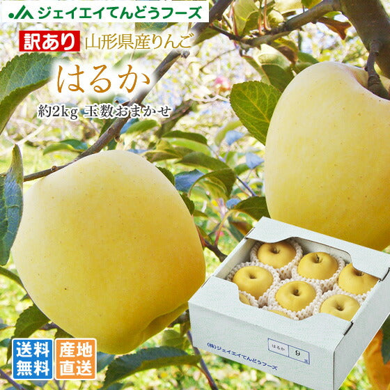 訳あり 送料無料 りんご 送料無料 JAてんどう 山形県産りんごはるか 約2kg(玉数おまかせ) ※一部地域は別途送料追加 お試し ap44