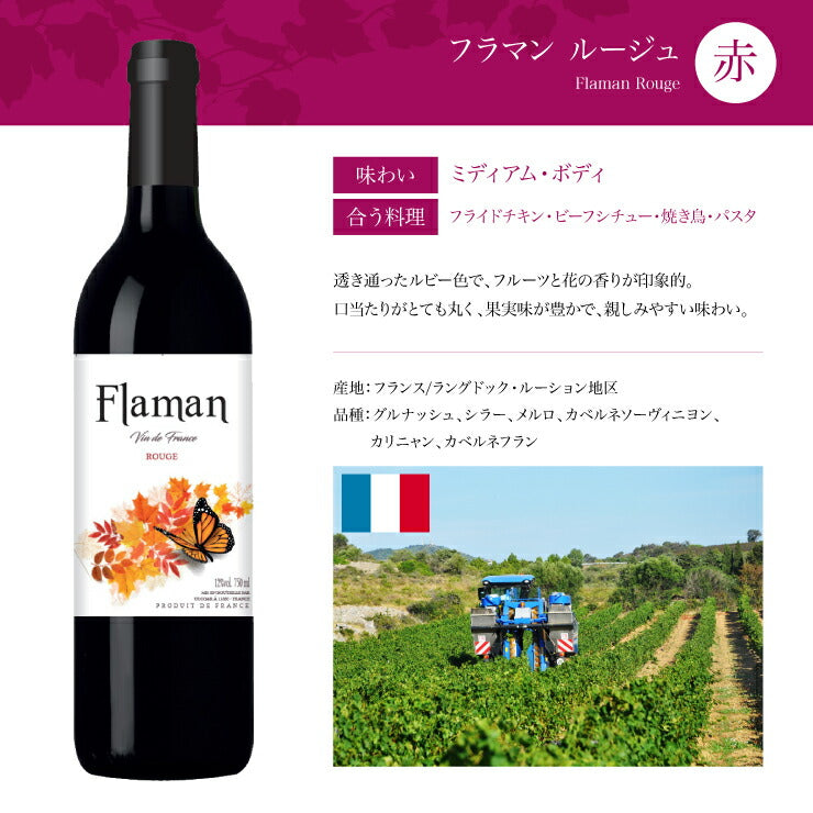 ソムリエが選ぶ 世界の赤ワイン セット 750ml×6本 チリ フランス イタリア スペイン 南アフリカ 送料無料