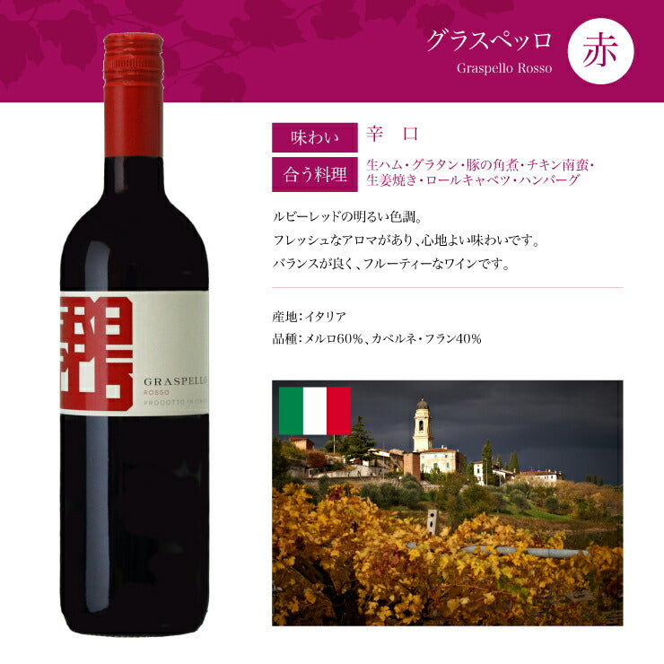 ソムリエが選ぶ 世界の赤ワイン セット 750ml×6本 チリ フランス イタリア スペイン 南アフリカ 送料無料