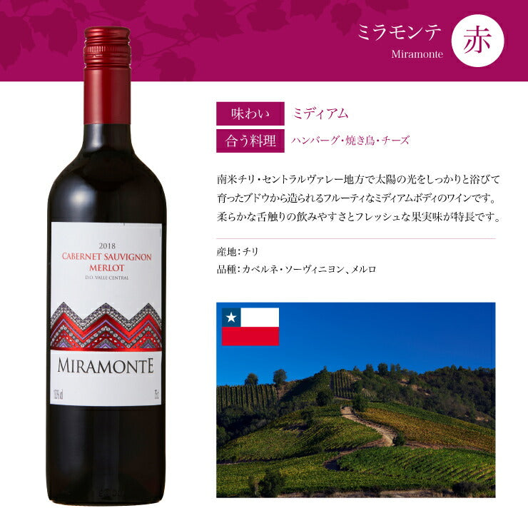 ソムリエが選ぶ 世界の赤ワイン セット 750ml×6本 チリ フランス イタリア スペイン 南アフリカ 送料無料