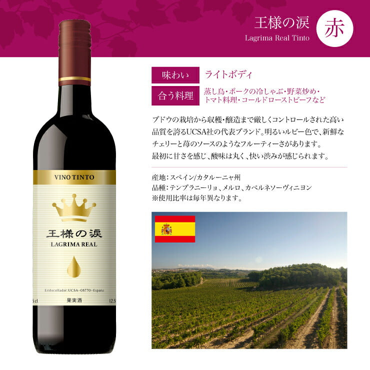 ソムリエが選ぶ 世界の赤ワイン セット 750ml×6本 チリ フランス イタリア スペイン 南アフリカ 送料無料