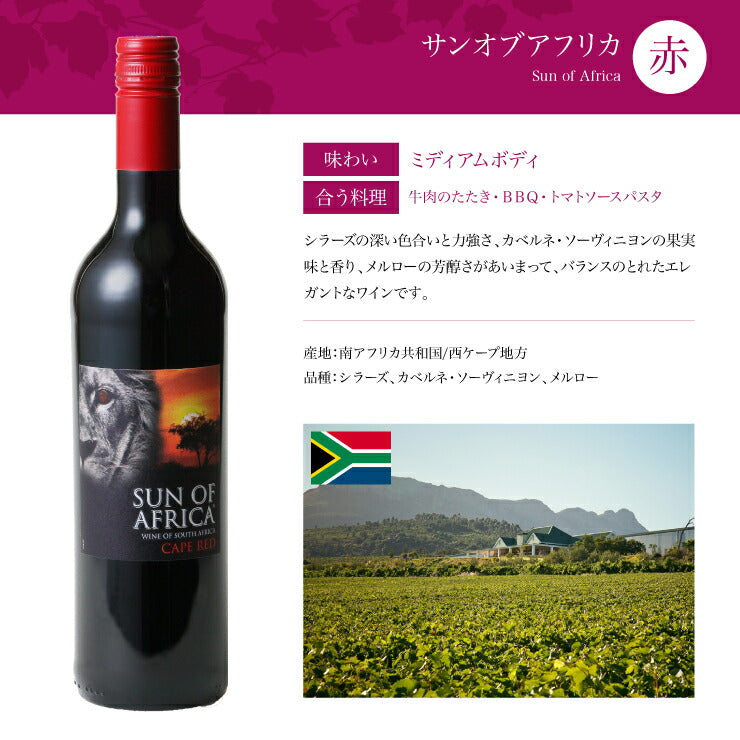 ソムリエが選ぶ 世界の赤ワイン セット 750ml×6本 チリ フランス イタリア スペイン 南アフリカ 送料無料