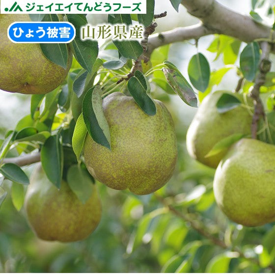 予約商品 訳あり ひょう被害 山形県産洋梨ラフランス 約5kg 果物 送料無料 ※一部地域は別途送料追加 rf25