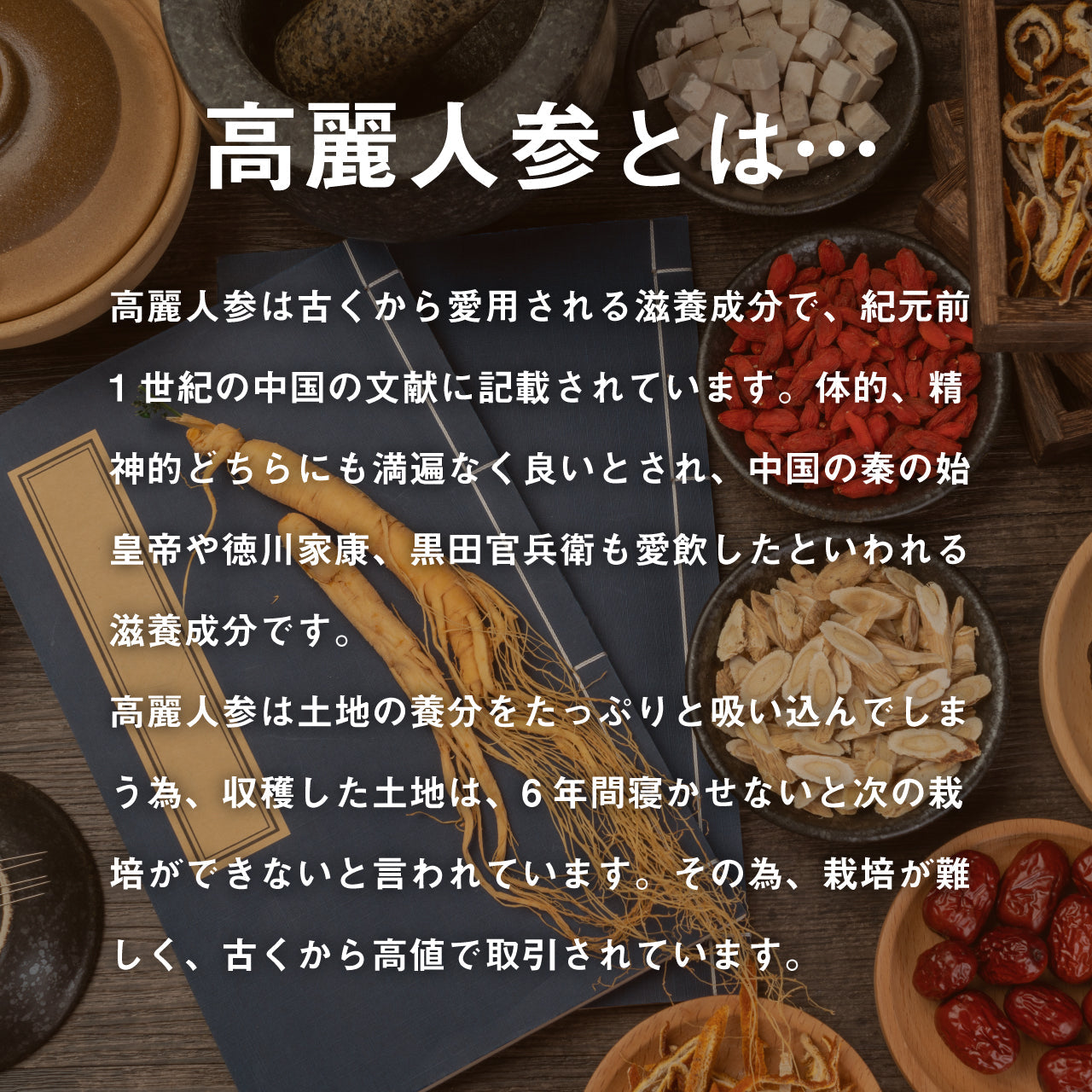 高麗人参サプリ 高麗人参EX 1袋 180粒 約3ヶ月分