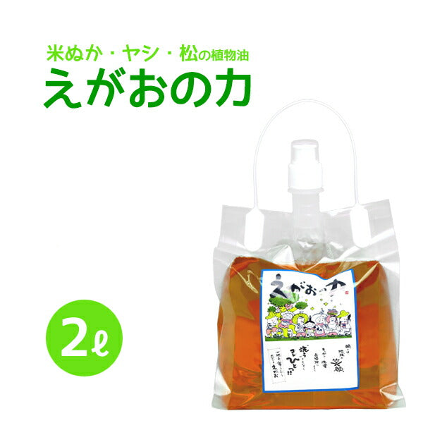 「えがおの力（旧松の力）」2L 【旧キャップ付き】 植物油由来成分からできた濃縮自然派洗剤