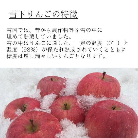 ギフト 送料無料 りんご 送料無料 秀品 青森県産雪下りんご約2kg(玉数おまかせ）※一部地域は別途送料追加 のし対応 ギフト ap52