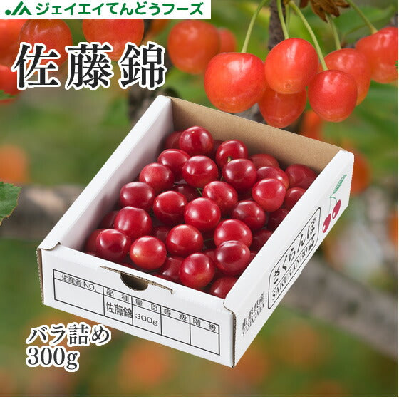 ★予告：5/5は全品10倍★早期予約  送料無料 山形県産 ハウス栽培 佐藤錦 L玉サイズ バラ詰め 300g 送料無料※一部地域別途送料 hc08
