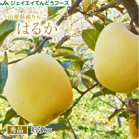 ★4/23より10倍★  送料無料 りんご 送料無料 秀品 JAてんどう 山形県産りんごはるか 約3kg(玉数おまかせ) ※一部地域は別途送料追加 のし対応 ギフト 贈答用 内祝い 贈り物 ギフト ap54