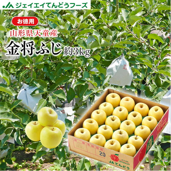 送料無料 お徳用 山形県産 金将ふじ りんご 約3kg　玉数おまかせ ※一部地域は別途送料  黄色ふじ JAてんどう ap48