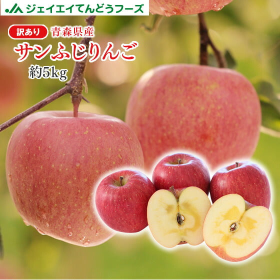 送料無料 りんご 送料無料 訳あり 青森県産サンふじりんご約5kg(玉数おまかせ）※一部地域は別途送料追加 ap49