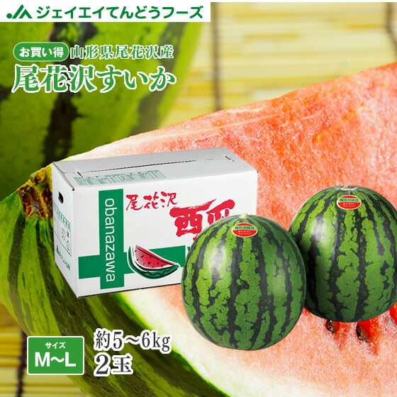 【早期予約】お買い得品 山形県尾花沢産すいか／M玉以上・1箱2玉いり※送料無料(一部地域を除く)wm04