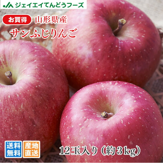 【お徳用】 山形県天童産 『サンふじ』 りんご 12玉（約3kg）リンゴ 林檎 ap55