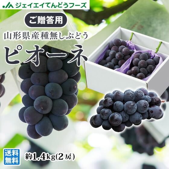 【予約商品】秀品 ぶどう ピオーネ 山形県産 2房(約1.4kg) 贈答用箱入り 送料無料※一部地域を除く gr06