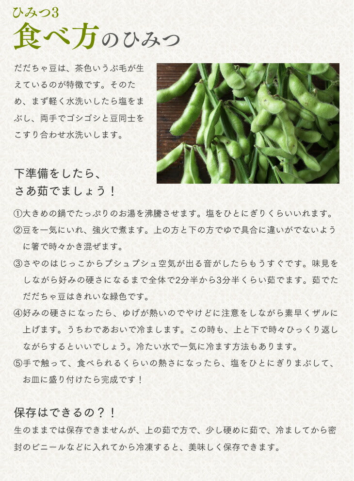 予約商品 青森県産 とうもろこし 嶽きみ 8本入り Lサイズ以上 送料無料