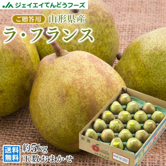 ギフト 送料無料 山形県産洋梨ラフランス約5kg のし対応 お歳暮 ※九州・沖縄・一部離島を除く rf20