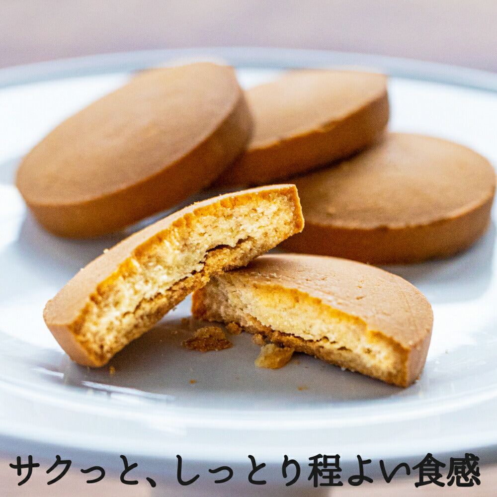 【訳あり】おからクッキー 40枚入り (国産大豆100%のおから使用 グルテンフリー きぼうのおからクッキー) お試し 砂糖不使用 オリゴ糖配合 エリスリトール おからパウダー 国内製造 NON-GMO ダイエット 置換え おやつ 朝食 低糖質 食物繊維