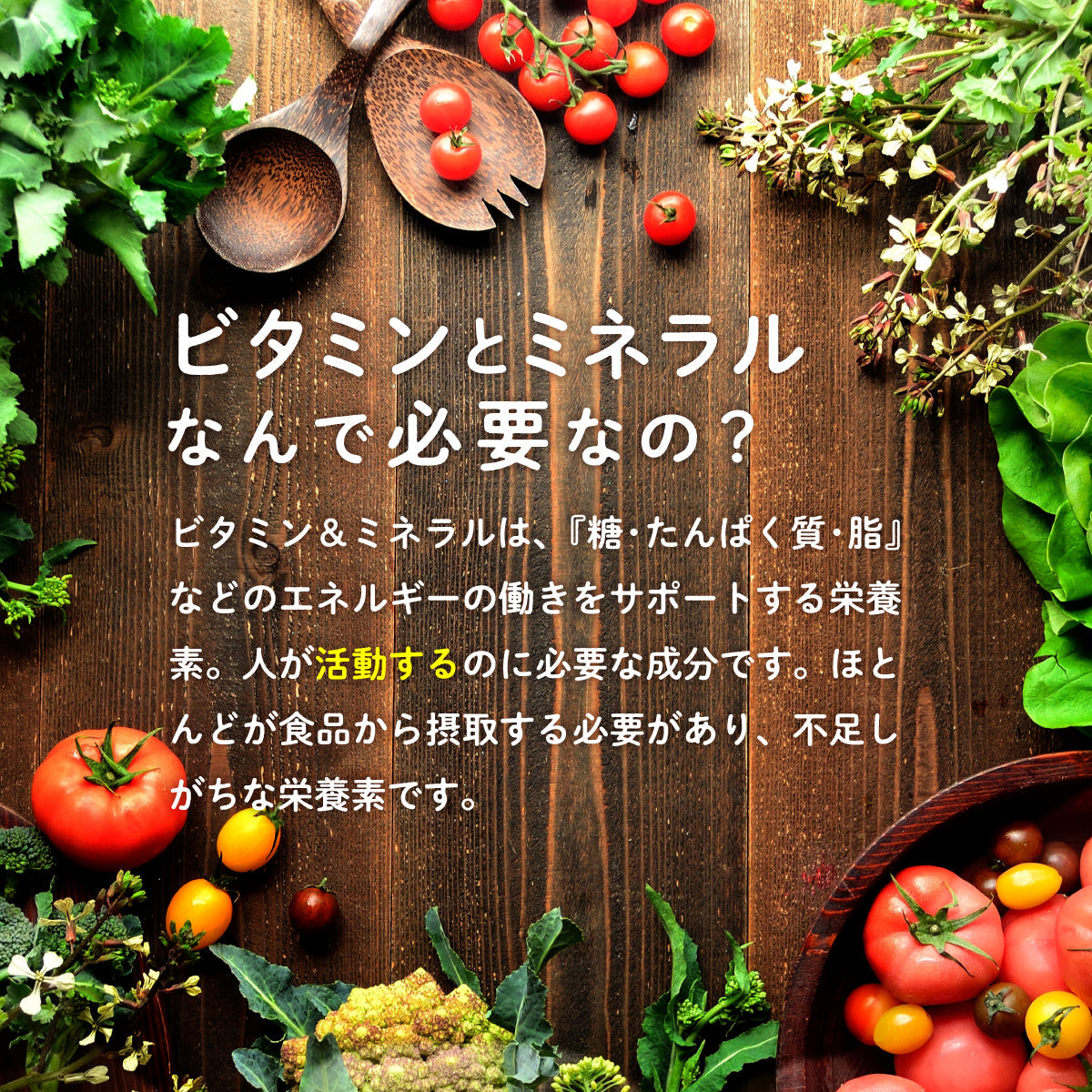 ビタミン ミネラル サプリ マルチビタミンEX 1袋 180粒 約2ヶ月分