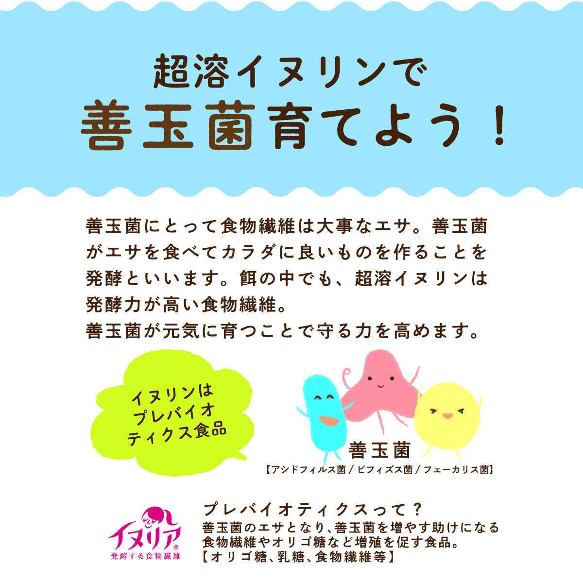 超溶イヌリン 2kg サプリメント