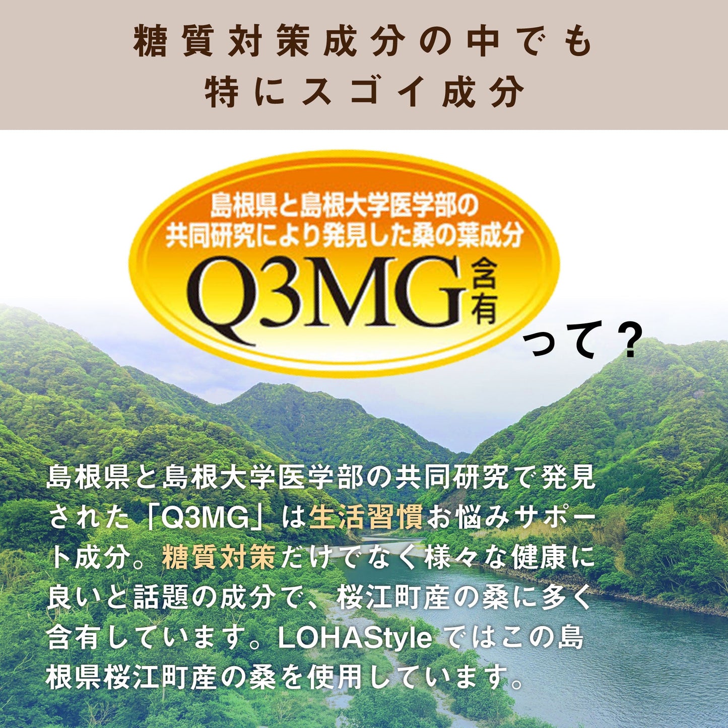 分包 30包 生桑茶 桑の葉茶 粉末  (島根県桜江町産 特別栽培の桑使用)