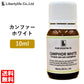 アロマオイル カンファー ホワイト 精油 エッセンシャルオイル  (10ml)