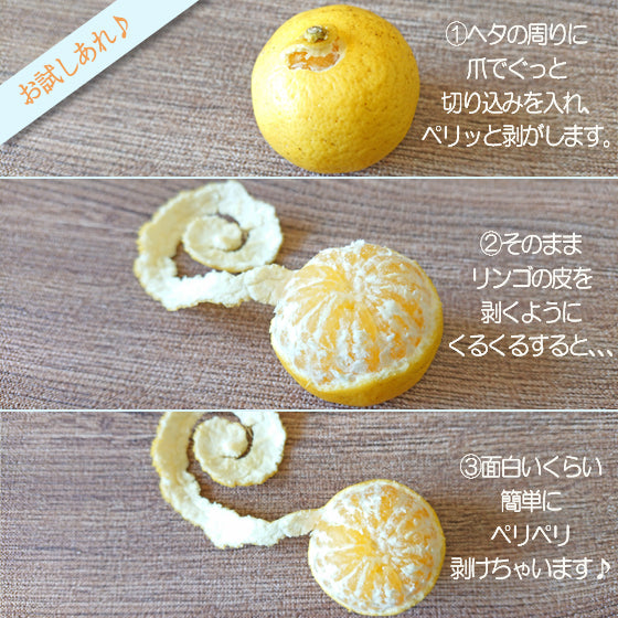 黄金柑　5kg