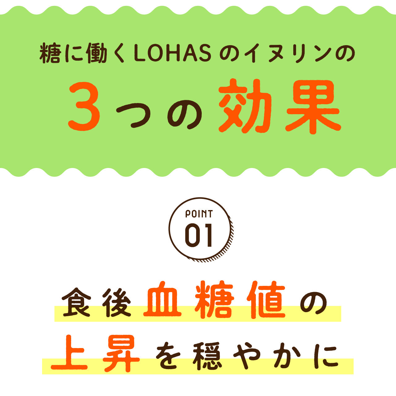 イヌリン 500g 機能性表示食品