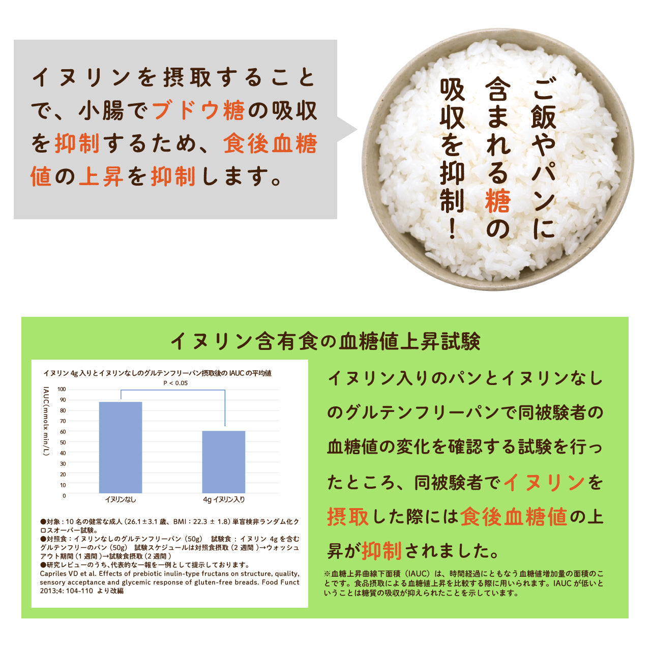 イヌリン 500g 機能性表示食品