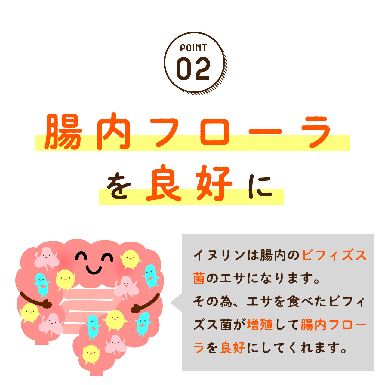 イヌリン 500g 機能性表示食品