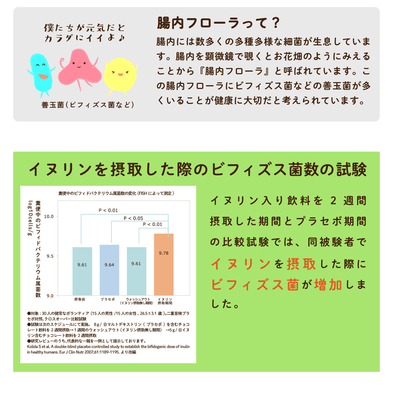イヌリン 500g 機能性表示食品