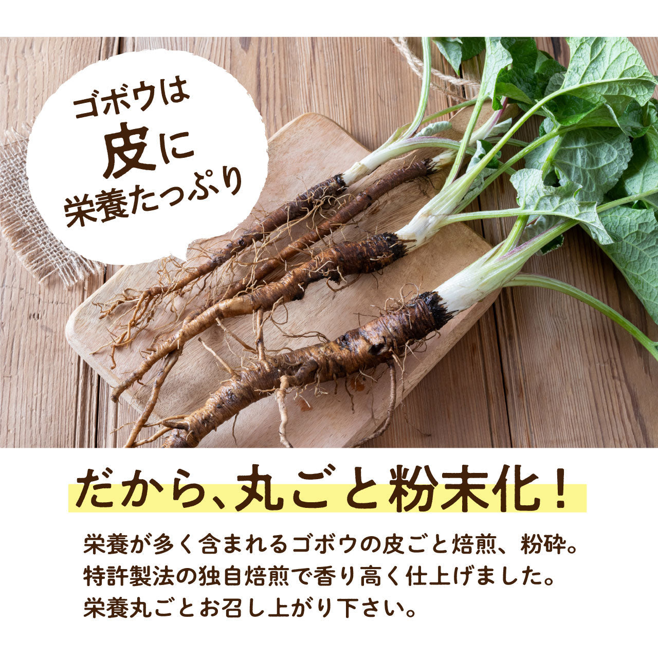 ごぼう茶 粉末 100g (200杯分) 便利な粉末タイプ