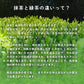 抹茶 粉末 100g 西尾産高級抹茶100%