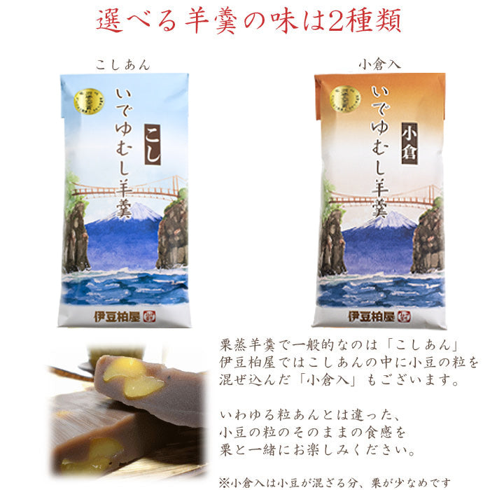 【こしあん2本・小倉1本】いでゆむし羊羹３本【メール便】竹皮に包んで蒸した甘さ控えめの栗蒸し羊羹詰め合わせ