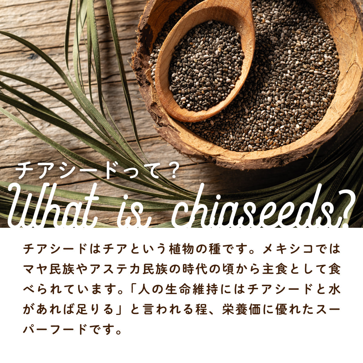 チアシード 250g 有機JAS 蒸気殺菌 スーパーフード ロハスタイル