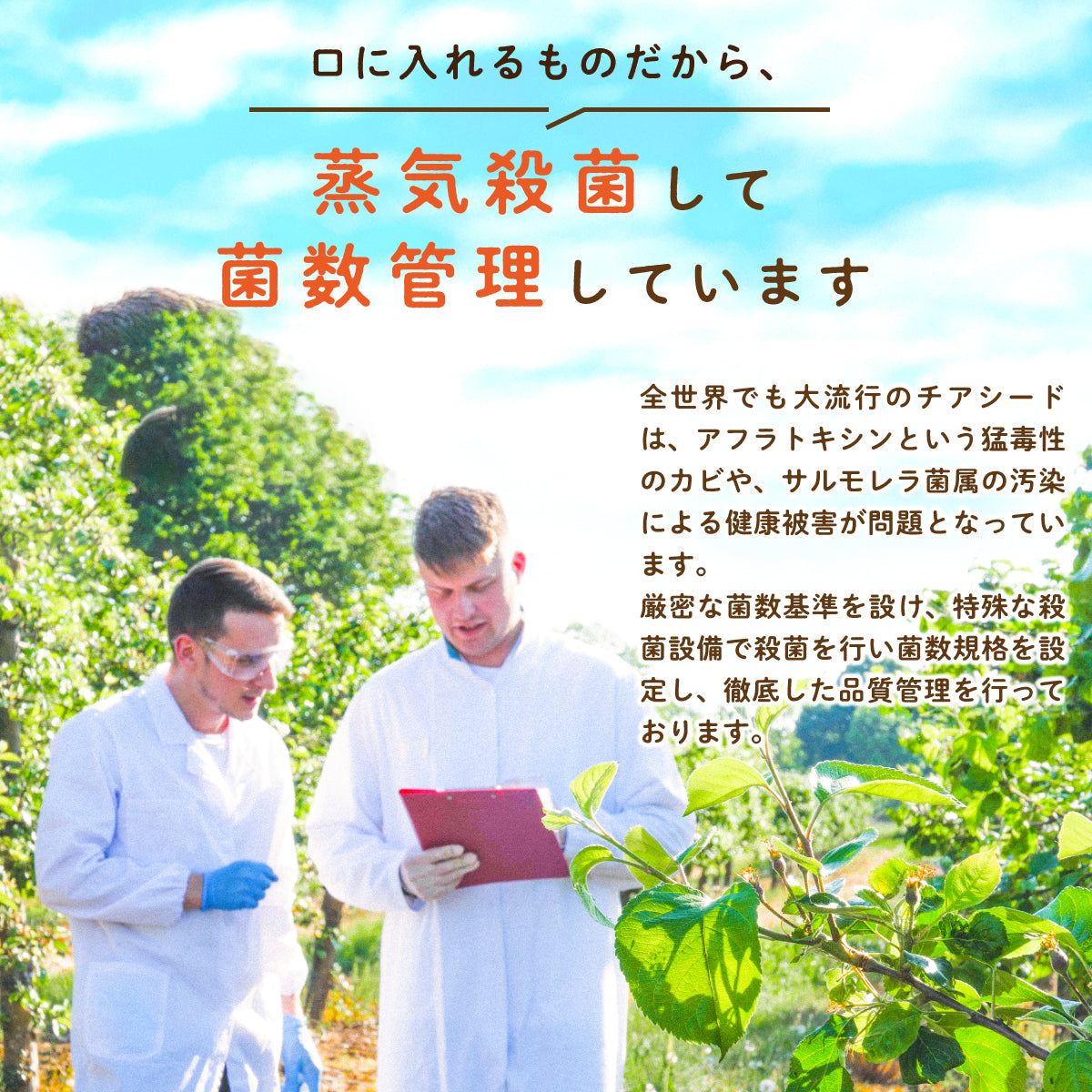チアシード 250g 有機JAS 蒸気殺菌 スーパーフード ロハスタイル