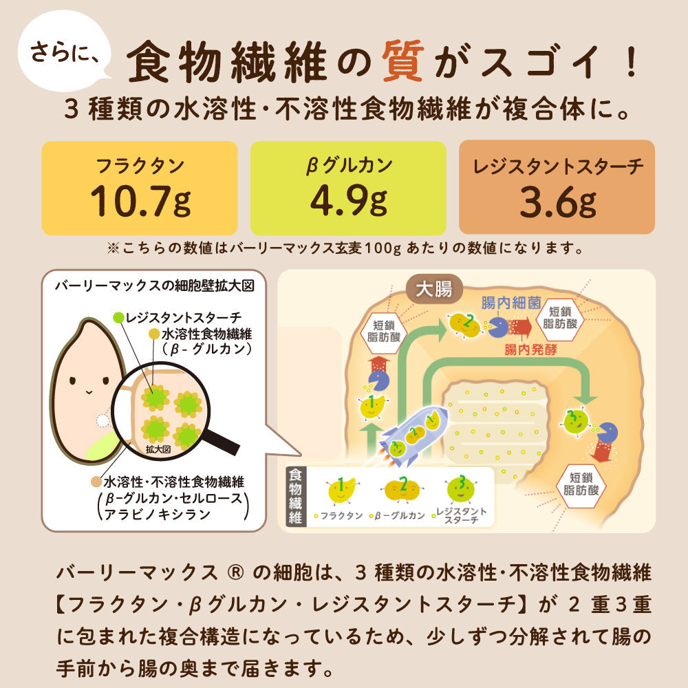 スーパー大麦バーリーマックス フレーク 180g