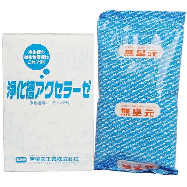 浄化槽アクセラーゼ 180g 1箱  浄化槽用シーディング剤
