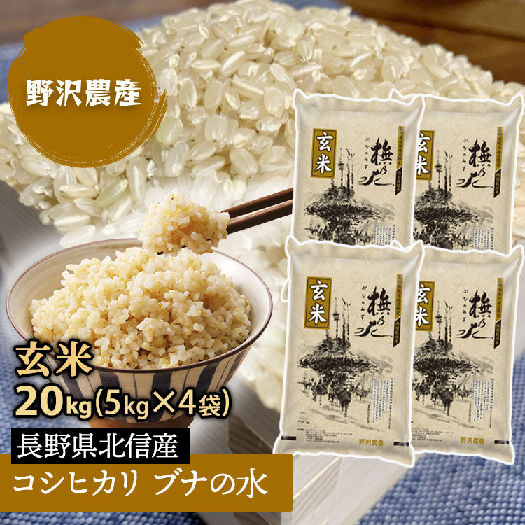 令和3年産 お米 玄米 20kg 特別栽培米 コシヒカリ 5kg × 4袋 ブナの水 特A産地 長野県産 北信産 送料無料  米 こしひかり 20キロ ギフト