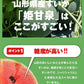 順次出荷中ご家庭用 山形県産小玉すいか 姫甘泉 2玉 wm10