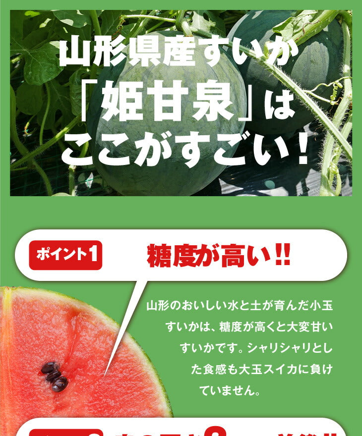 順次出荷中ご家庭用 山形県産小玉すいか 姫甘泉 2玉 wm10