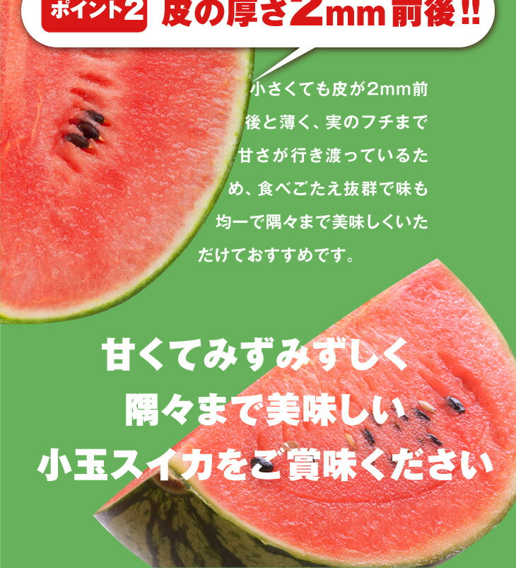 順次出荷中ご家庭用 山形県産小玉すいか 姫甘泉 2玉 wm10