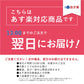 ★非掲載★伊勢神宮外宮奉納 お食い初め膳（単品）【縁起物お料理12品】お正月 オードブル  メニュー パーティー ギフト 慶事 祭事 御祝い 宅配 元旦 御正月 お食い初め 初節句 お取り寄せ 母の日